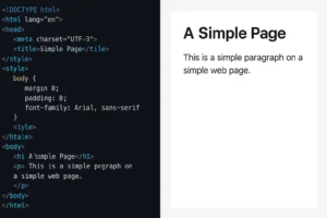 Contoh hasil kode HTML dan CSS sederhana yang dapat langsung dicoba pemula